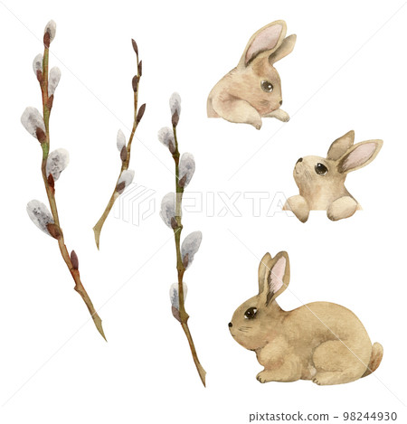 Watercolor hand drawn Easter celebration clipart. Set of cute bunnies with spring willow branches. Pastel color. Isolated on white background. For invitations, gifts, greeting cards, print, textile 98244930