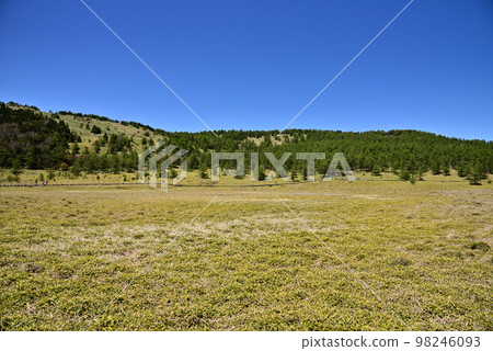 Ikenotaira marsh in early summer 98246093