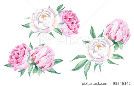 Watercolor peonies bouquets set. Hand painted combination of white and pink flowers and green leaves isolated on white background. Can be used for greeting cards, wedding invitations, save the date Watercolor peonies bouquets set. Hand painted combination of white and pink flowers and green leaves isolated on white background. Can be used for greeting cards, wedding invitations, save the date 98246342