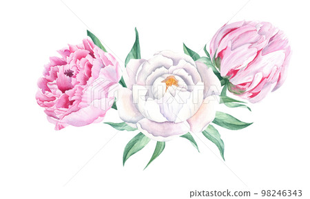 Watercolor peonies bouquet isolated on white background. Hand painted combination of white and pink flowers and green leaves. Can be used for greeting cards, wedding invitations, save the date, fabric Watercolor peonies bouquet isolated on white background. Hand painted combination of white and pink flowers and green leaves. Can be used for greeting cards, wedding invitations, save the date, fabric 98246343