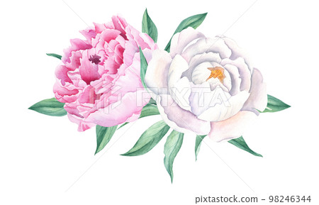 Watercolor peonies bouquet isolated on white background. Hand painted combination of white and pink flowers and green leaves. Can be used for greeting cards, wedding invitations, save the date, fabric Watercolor peonies bouquet isolated on white background. Hand painted combination of white and pink flowers and green leaves. Can be used for greeting cards, wedding invitations, save the date, fabric 98246344