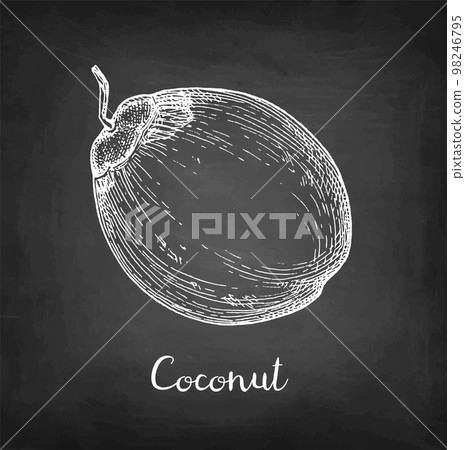 Chalk sketch of coconut. 98246795