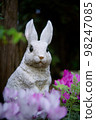 花園裡的兔子 98247085