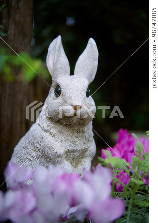 Rabbit in flower garden 98247085