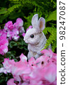 花園裡的兔子 98247087