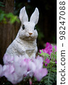 花園裡的兔子 98247088