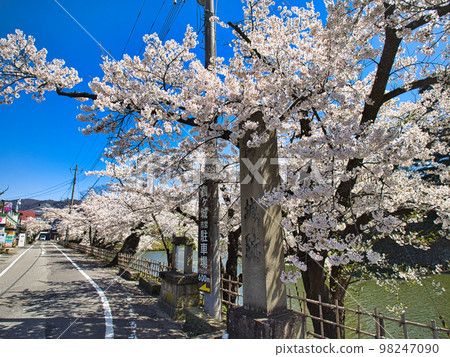 Information display to Tsurugajo Municipal Parking Lot and cherry blossoms 98247090