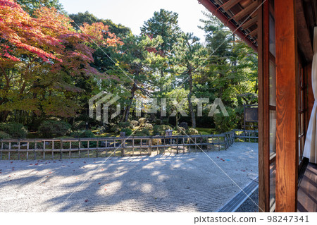 多哥之家 98247341