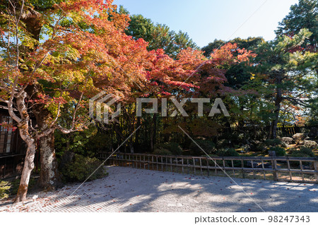 多哥之家 多哥之家 98247343