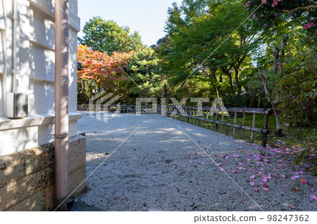 多哥之家 98247362