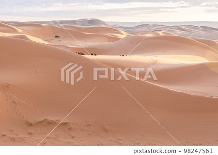 Beautiful sand dunes in the Sahara desert. Beautiful sand dunes in the Sahara desert. 98247561