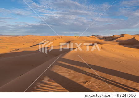Beautiful sand dunes in the Sahara desert. Beautiful sand dunes in the Sahara desert. 98247590
