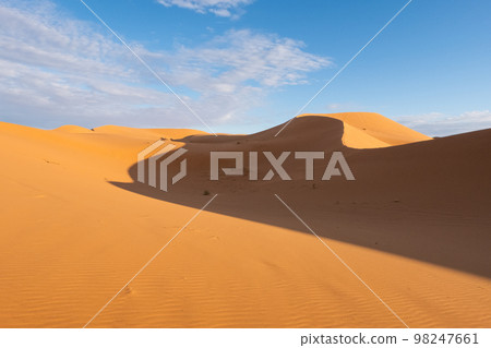 Beautiful sand dunes in the Sahara desert. 98247661