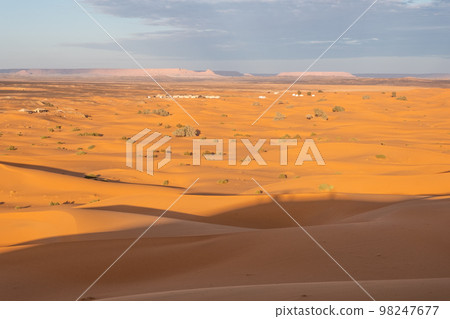 Beautiful sand dunes in the Sahara desert. Beautiful sand dunes in the Sahara desert. 98247677