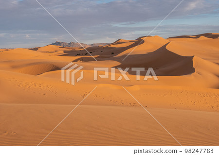 Beautiful sand dunes in the Sahara desert. 98247783
