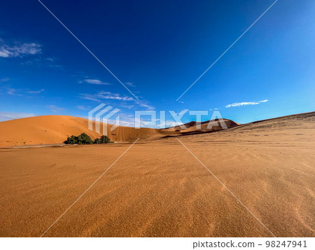 The sahara desert and its sand dunes with a blue sky as a background. The sahara desert and its sand dunes with a blue sky as a background. 98247941