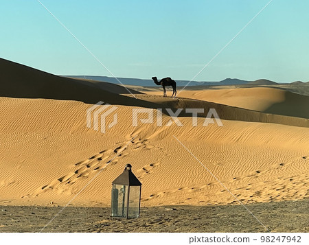 Candlestick and footprints towards a camel in the dunes of the Sahara Desert Candlestick and footprints towards a camel in the dunes of the Sahara Desert 98247942