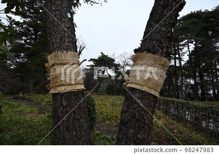 Also winding 98247983