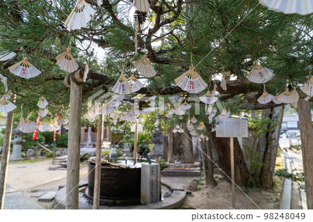 千代寺 千代寺 98248049
