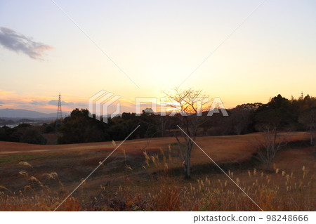 夕陽西下蒲葦草 98248666