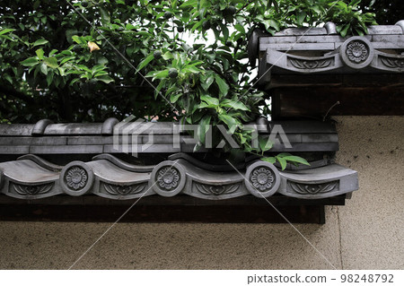 士兵和瓦屋頂 士兵和瓦屋頂 98248792