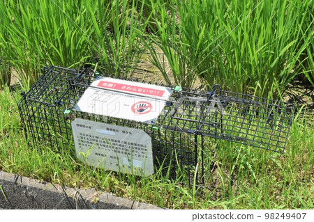 對抗海狸鼠的盒子陷阱 對抗海狸鼠的盒子陷阱 98249407