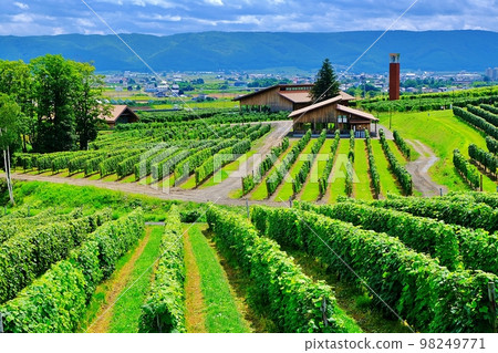 Campana Rokkatei, Genghis Khan Shirakaba (Shimizuyama, Furano City, Hokkaido) 98249771