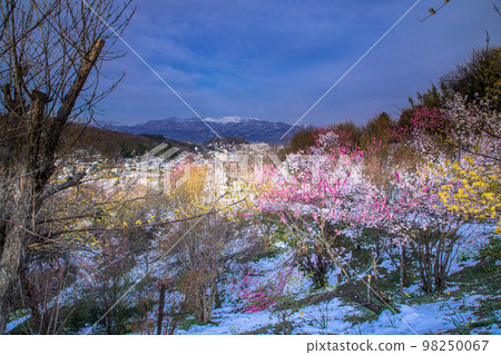 [Fukushima Prefecture/Hanamiyama Park] Spring Snow Taoyuan Village April 98250067