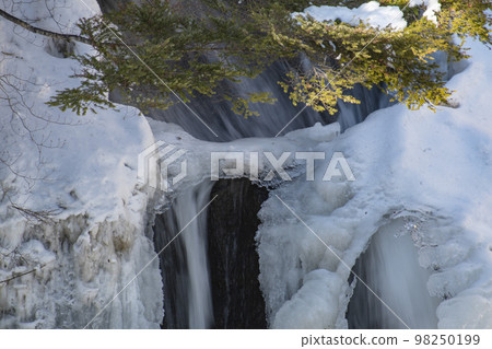 Icefall of a waterfall that freezes in the severe cold of Tochigi 98250199