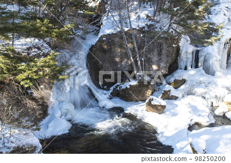 Icefall of a waterfall that freezes in the severe cold of Tochigi 98250200