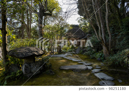 Yorishitayo Yorishitayo 98251180