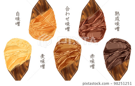 Hand-painted watercolor style illustration of miso on a spatula 98251251