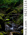 流過苔蘚的小溪 98251314
