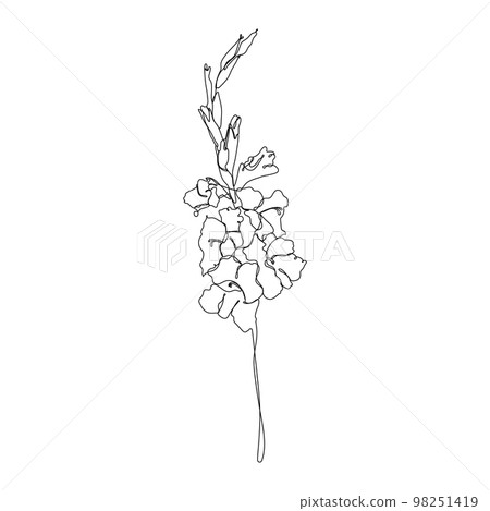 Continuous one line gladiolus flower. Moden style flower for logo, icon emblem or web banner. Hand drawn minimalism style vector. Continuous one line gladiolus flower. Moden style flower for logo, icon emblem or web banner. Hand drawn minimalism style vector. 98251419