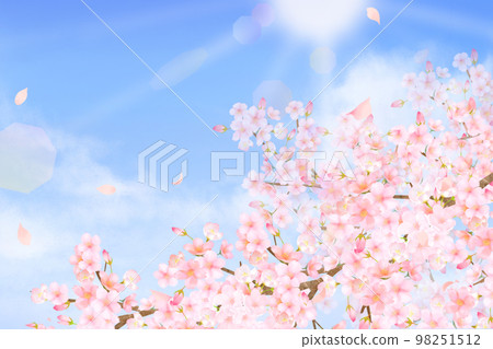 美麗絢麗的櫻花和花瓣在春天清新的藍天中飄揚雲框背景素材插畫 美麗絢麗的櫻花和花瓣在春天清新的藍天中飄揚雲框背景素材插畫 98251512