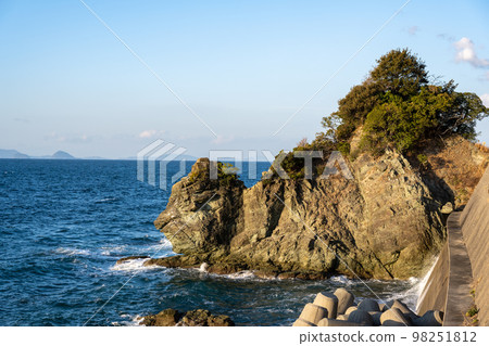 Lion Rock Lion Rock 98251812