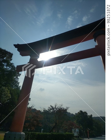 Mysterious  98251872