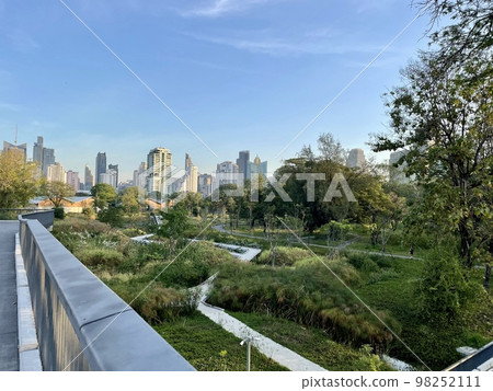 有很多綠色植物的泰國公園 有很多綠色植物的泰國公園 98252111