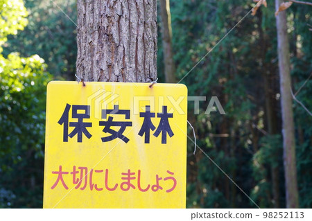 安全森林 安全森林 98252113