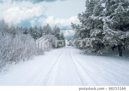 Tire tracks from a car that ran in the snow Tire tracks from a car that ran in the snow 98253166
