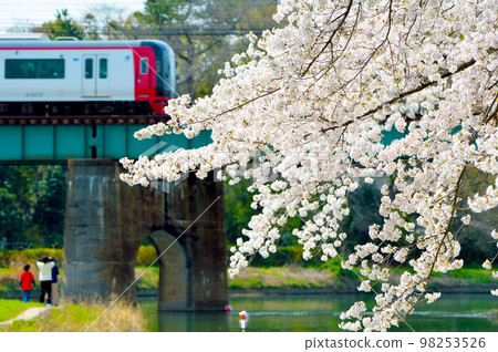 岡崎公園櫻花列車 岡崎公園櫻花列車 98253526