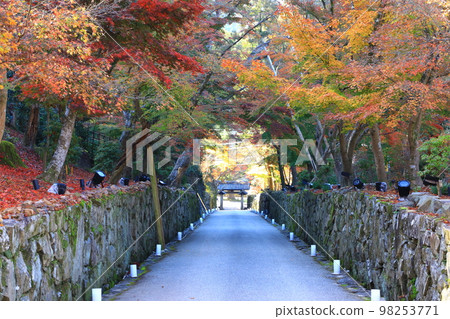秋季的興聖寺:琴坂與紅葉 秋季的興聖寺:琴坂與紅葉 98253771