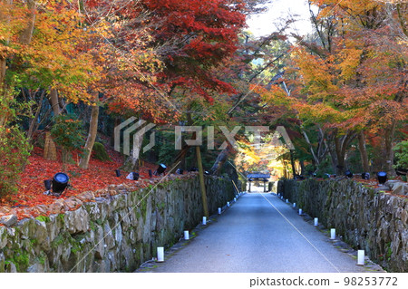 秋季的興聖寺:琴坂與紅葉 秋季的興聖寺:琴坂與紅葉 98253772