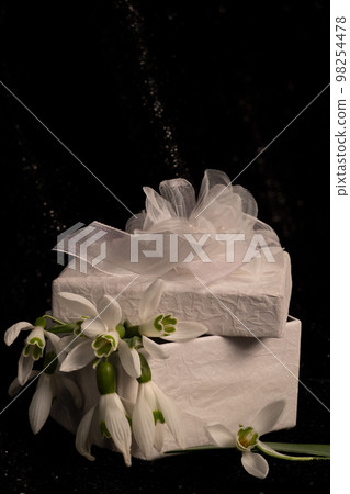 Snowdrop Decorated in a gift box. 98254478