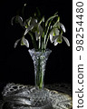 Snowdrops decorated in a glass vase. 98254480