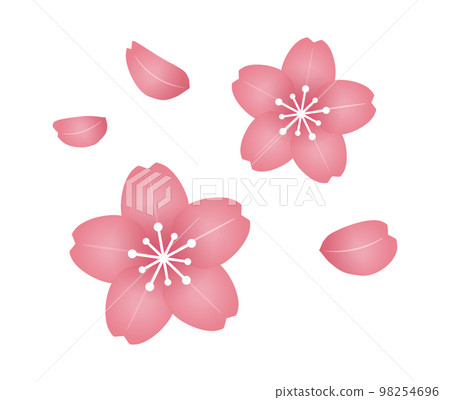 Cherry Blossoms	 98254696