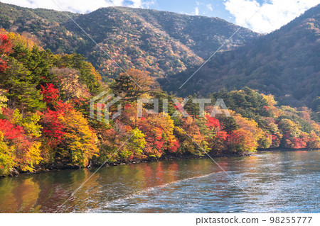 《栃木縣》秋天的奧日光中禪寺・紅葉八丁出島《來自中禪寺湖遊船》 98255777
