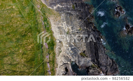 Dense thickets of grass. Grass-covered rocks on the Atlantic Ocean coast. Nature of Ireland, top view. Aerial photo. Dense thickets of grass. Grass-covered rocks on the Atlantic Ocean coast. Nature of Ireland, top view. Aerial photo. 98256582