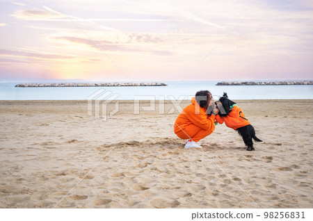 Halloween dog dressed as a pumpkin on the beach. Black Cocker Spaniel in festive clothes plays. Halloween dog dressed as a pumpkin on the beach. Black Cocker Spaniel in festive clothes plays. 98256831