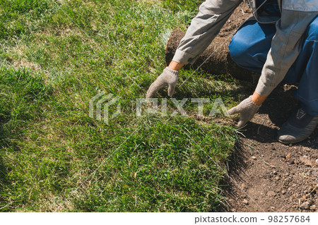 Close-up man laying grass turf rolls for new garden lawn 98257684